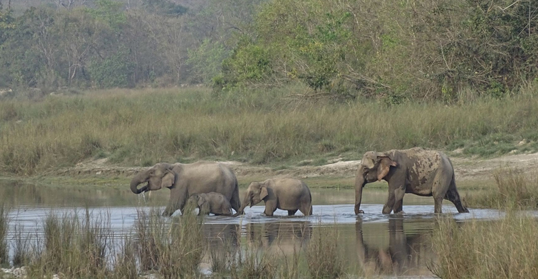 Bardia National Park