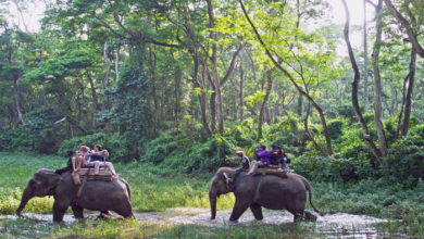 Chitwan National Park