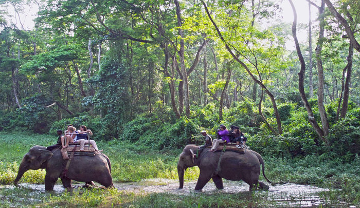 Chitwan National Park