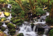 Shivapuri Nagarjun National Park