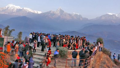 Pokhara Sightseeing Tour