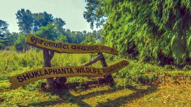 Shuklaphanta National Park