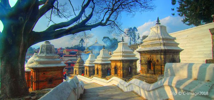 Pashupatinath Temple in Kathmandu