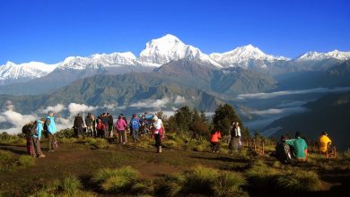 Ghorepani Poon Hill & Ghandruk Trek