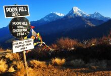 beautiful trek in Nepal